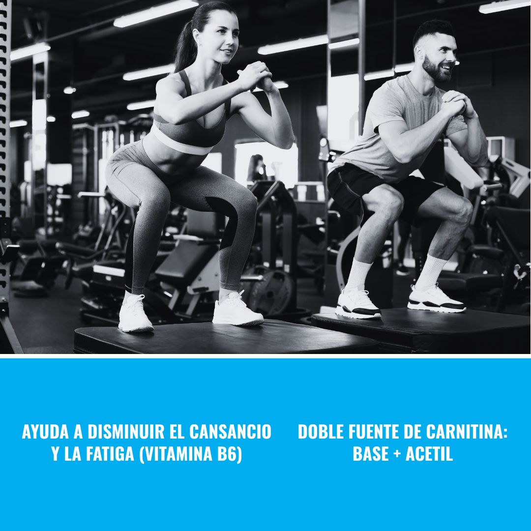 Carni Cell 500 ml - Carnipure®