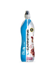 Absolute lifestyle bebidas 2