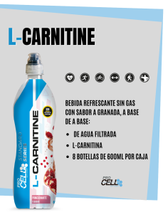 Bebida L-Carnitine Procell Sport: Transporte de Grasas, Más Energía 2