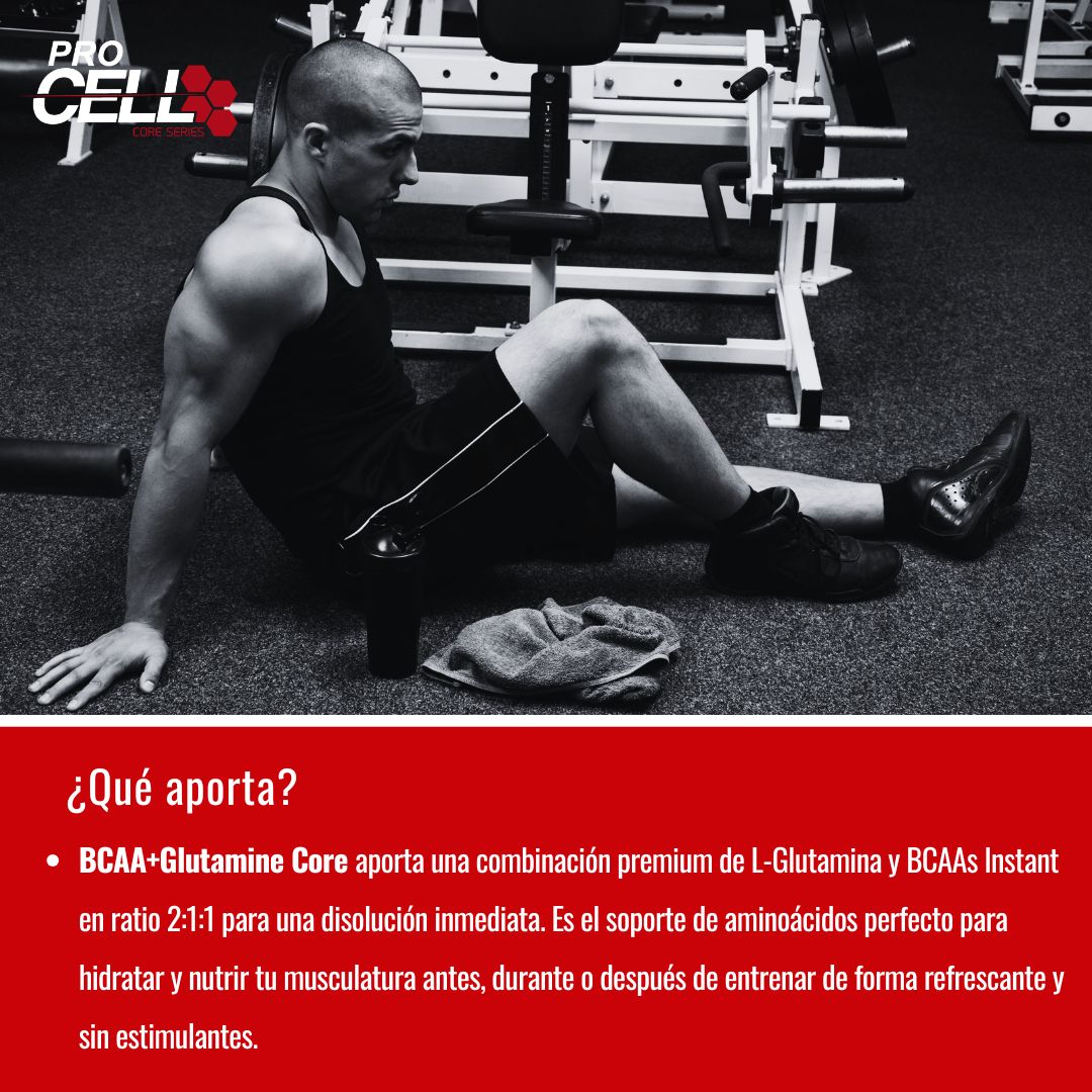 Bcaa + Glutamine Core 300 gr