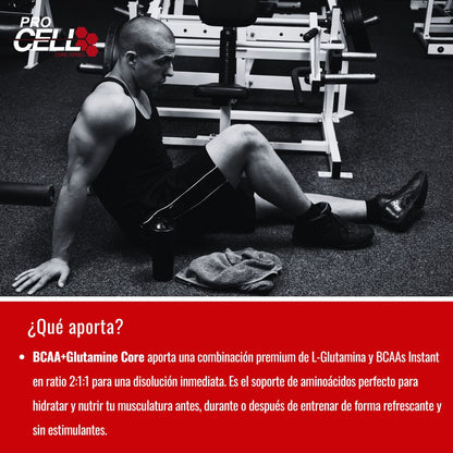 Bcaa + Glutamine Core 300 gr