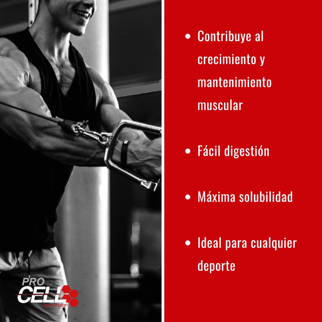 Whey Core - 100% whey protein