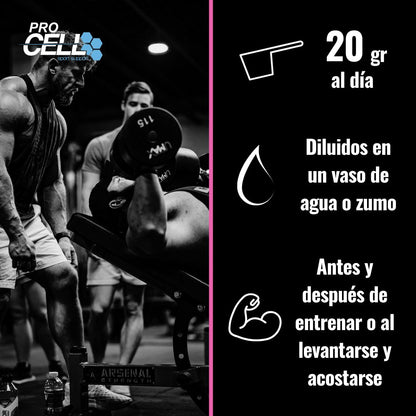 Eaa + Pro 400 gr, Aminoácidos Esenciales