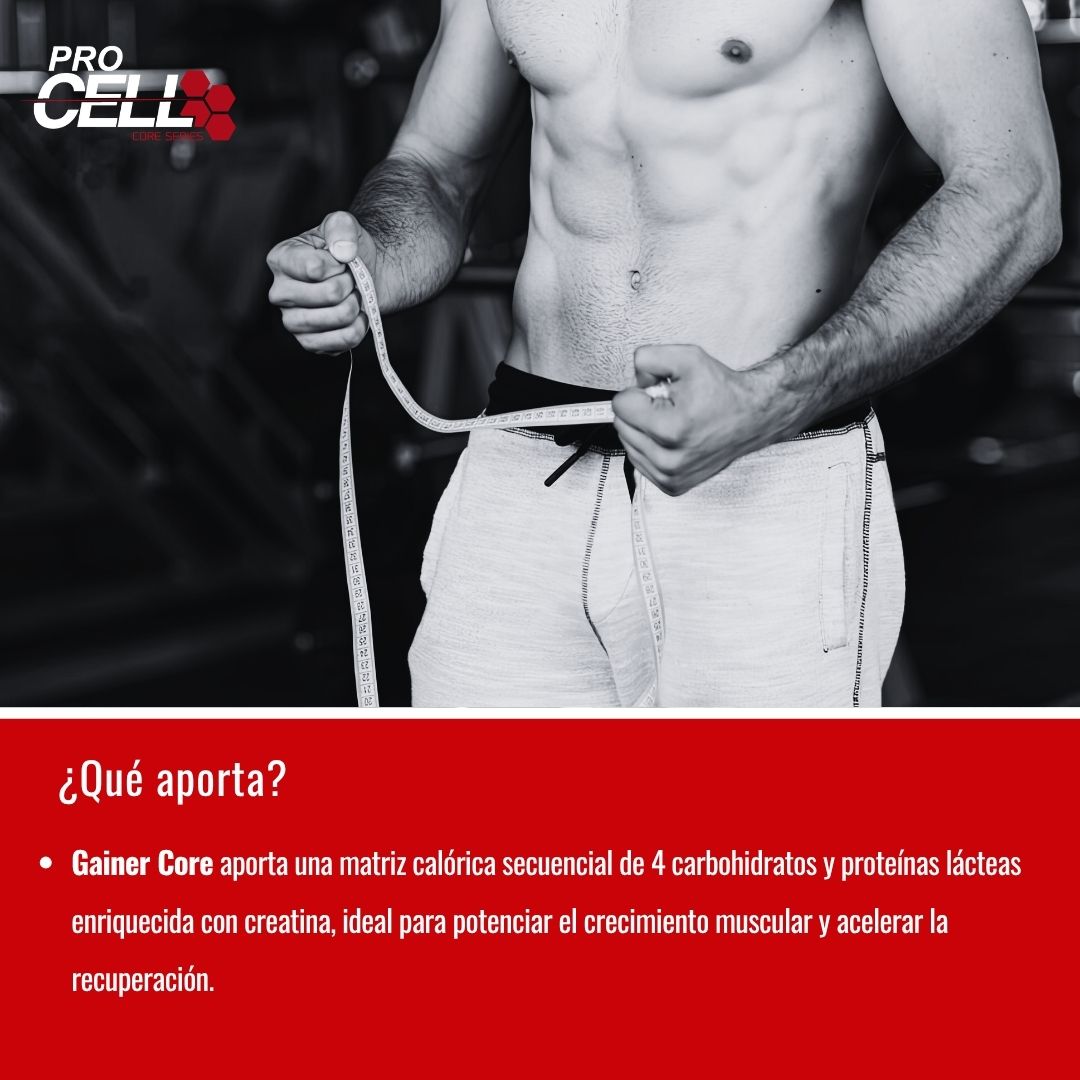 Gainer Core 1.5 kg