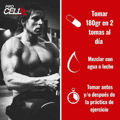 Gainer Core 1.5 kg